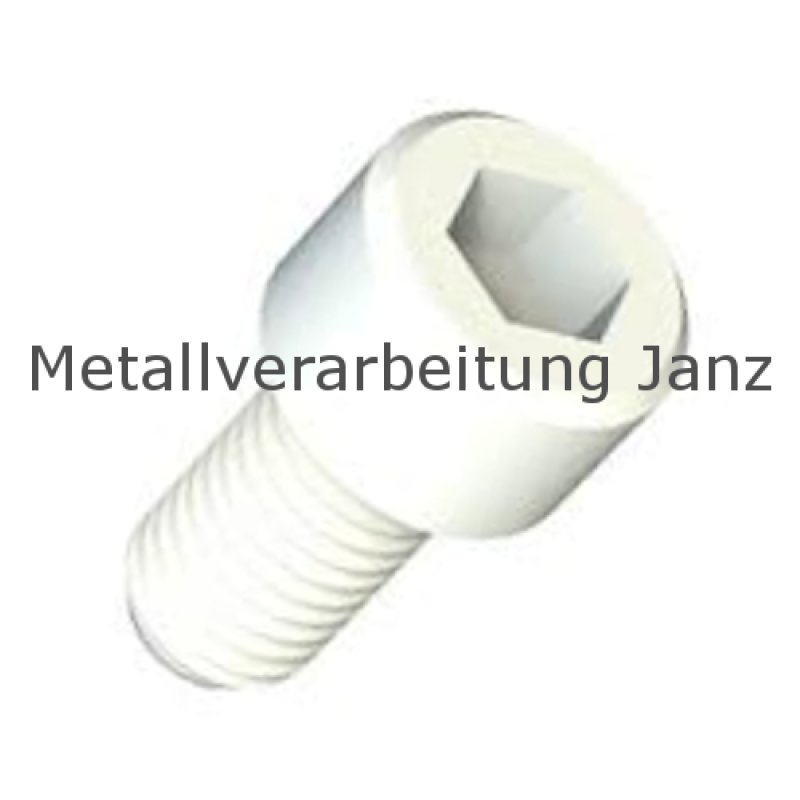 Zylinderschr. mit I-Skt. DIN 912 Polyamid M3x15 - 1.000 Stück