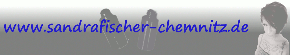 homepage www.sandrafischer-chemnitz.de